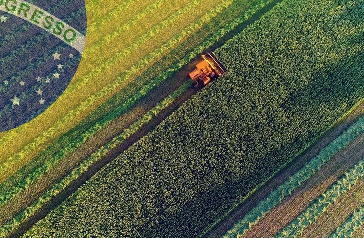 برنامه برزیل برای تبدیل 40 میلیون هکتار مرتع به زمین کشاورزی
