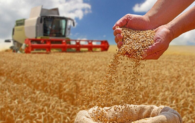 بحث دوباره بر سر تأسیس بورس غلات بریکس