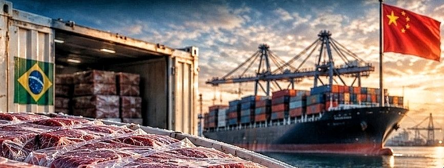 چین تعرفه اضافی ۵۵ درصدی بر واردات مازاد گوشت گاو برزیل اعمال کرد